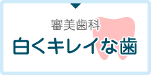 審美歯科 白くキレイな歯